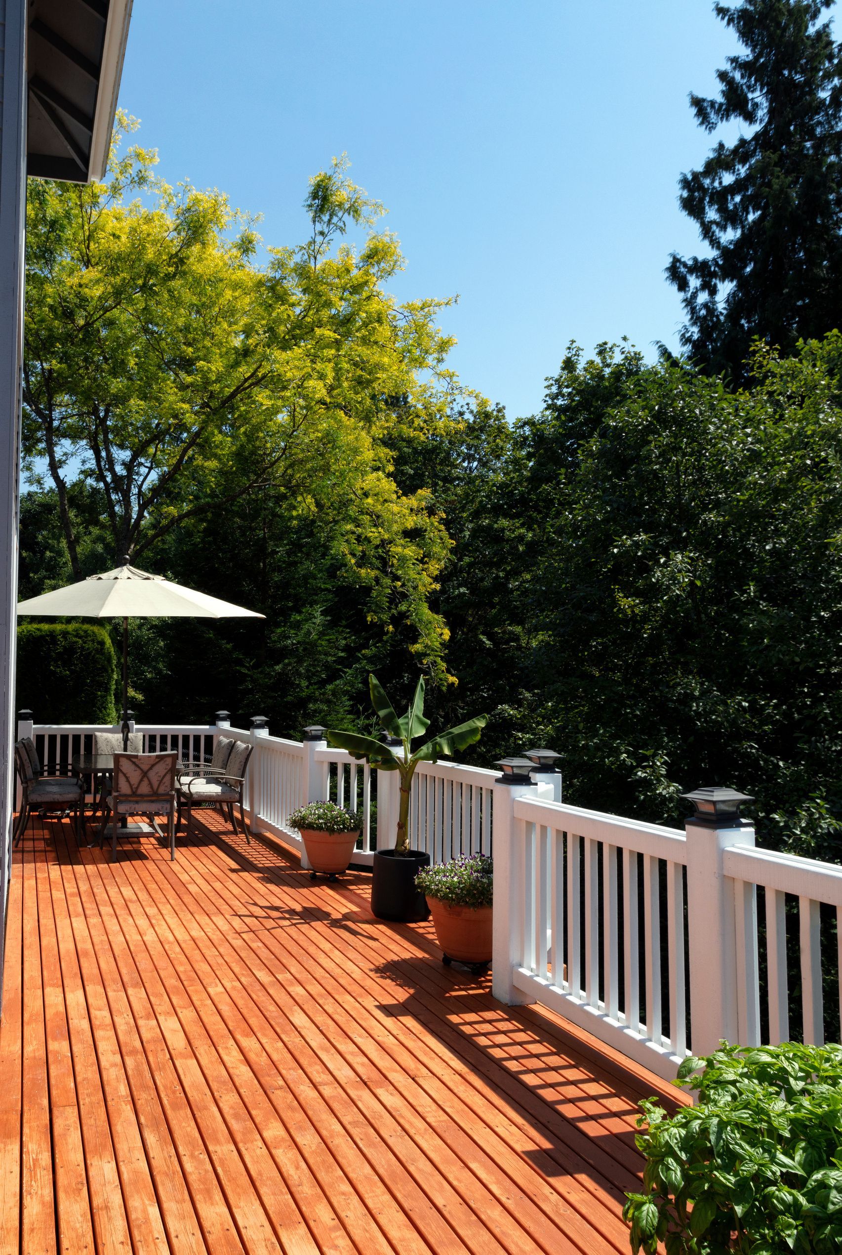 Terrasse en bois avec vue sur jardin