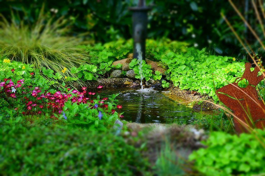 Jardin et bassin par Garden Création près de Perpignan