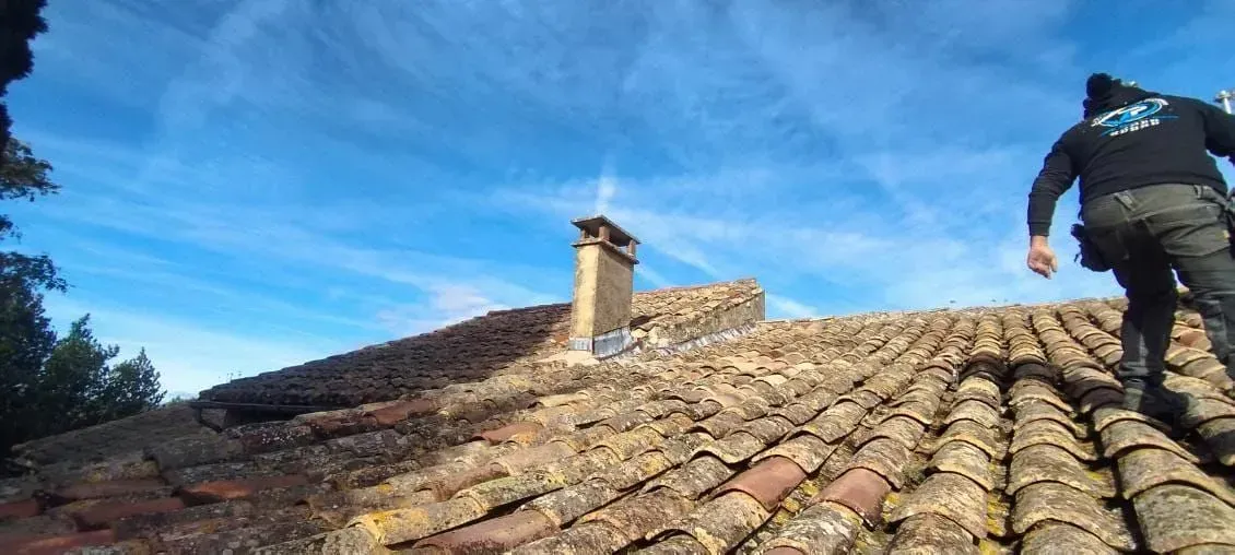 Tuiles avec de la mousse