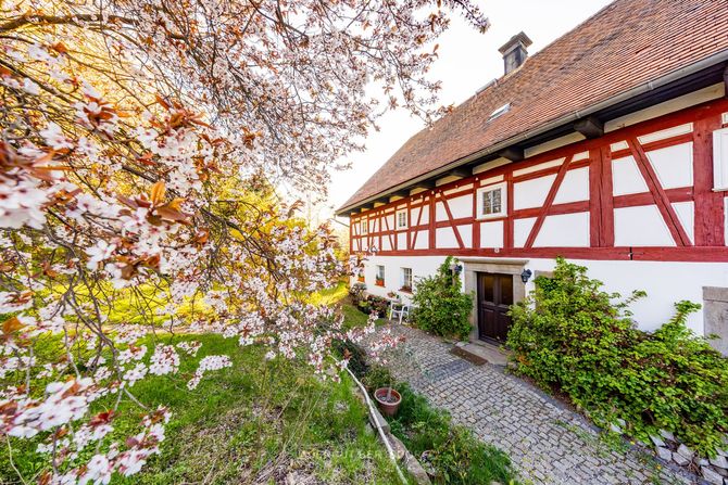 Sonniger Innenhof und Gartenanlage des Auenguts Bertsdorf-Hörnitz, ideal für entspannte Stunden im Freien.