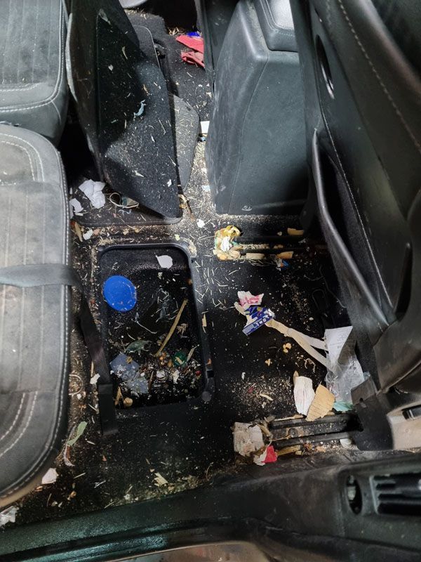 Sièges arrière nettoyés parfaitement