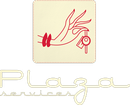 logo Plaza services
