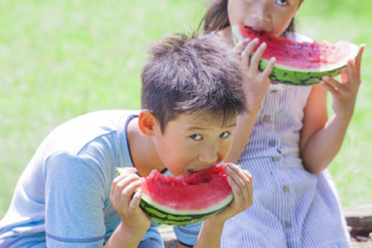 Children's education project - European Health Organisation