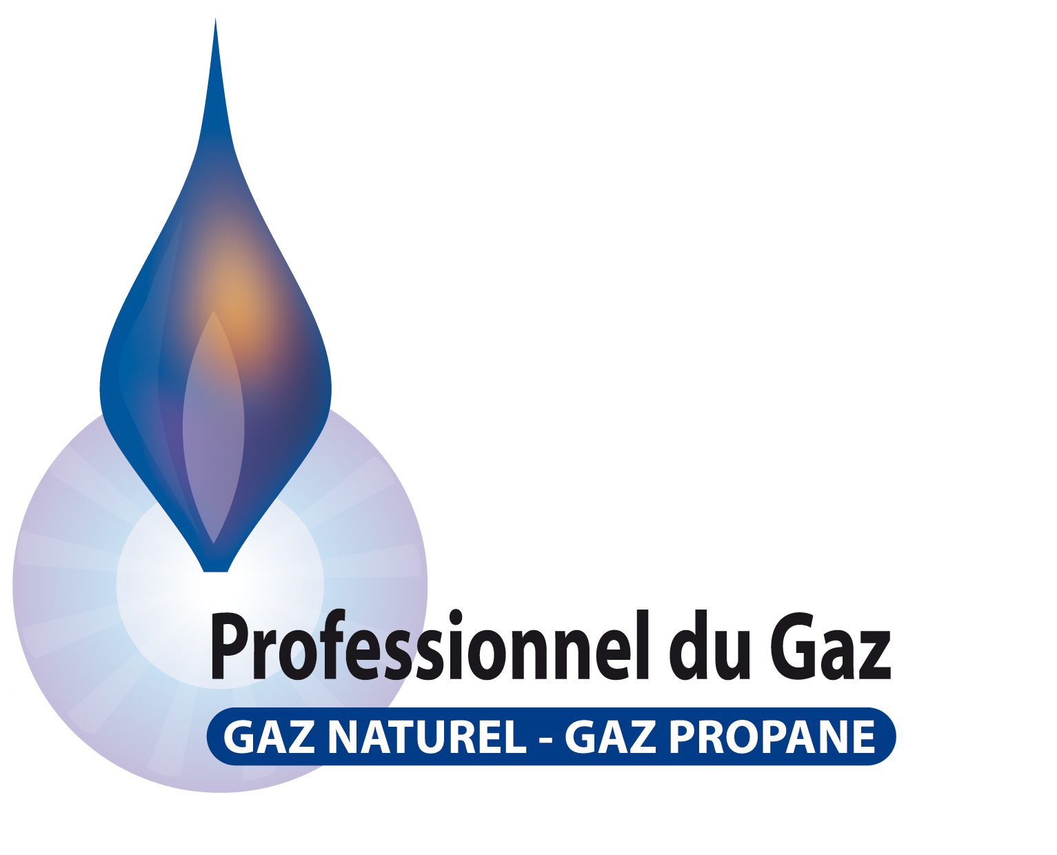 Logo professionnel du gaz naturel