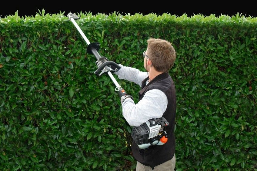 Ein Mann schneidet mit einer Heckenschere eine Hecke.