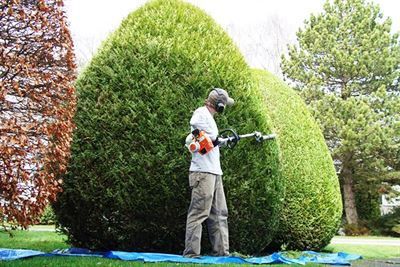 Gartenpflege Formschnitte Rückschnitte Hecke schneiden Rasen mähen Laub kehren Balkonpflanzen Beetpflanzen Wipperfürth Lindlar Marienheide Hückeswagen Gummersbach Marienheide Kürten Radevormwald Gartenpflege Formschnitte Rückschnitte Hecke schneiden Rasen mähen Laub kehren Balkonpflanzen Beetpflanzen Wipperfürth Lindlar Marienheide Hückeswagen Gummersbach Marienheide Kürten Radevormwald