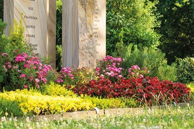 Dauergrabpflege Pflanzenschnitt Grabschmuck Kränze Gestecke Pflanzschalen Blumensträuße Pflege Grabstein Frühjahrsblumen Sommerblumen Herbstblumen Wipperfürth Lindlar Marienheide Hückeswagen Gummersbach Marienheide Kürten Radevormwald Dauergrabpflege Pflanzenschnitt Grabschmuck Kränze Gestecke Pflanzschalen Blumensträuße Pflege Grabstein Frühjahrsblumen Sommerblumen Herbstblumen Wipperfürth Lindlar Marienheide Hückeswagen Gummersbach Marienheide Kürten Radevormwald