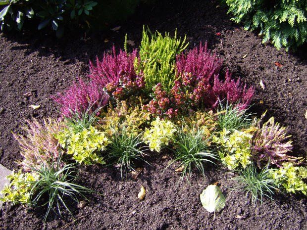 Mustergräber von Blumen Hesse