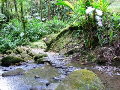 Étude environnementale
