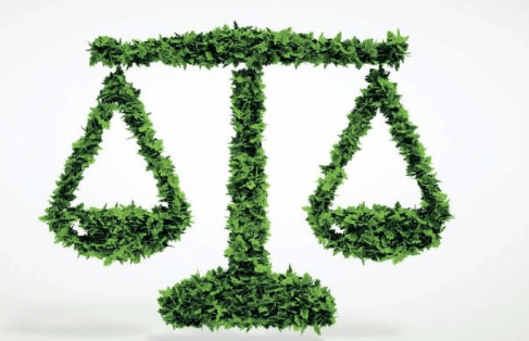 Balance de justice faite de feuilles vertes, symbolisant le droit environnemental ou la justice