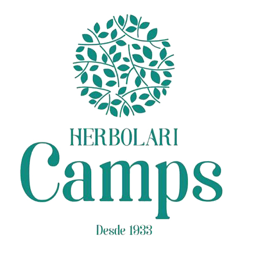 logotipo cabecera