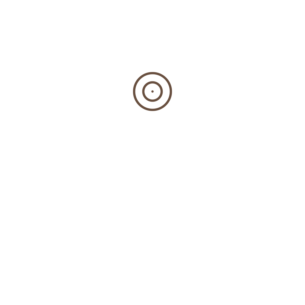 ein brauner Kreis mit einem Zentrum auf weißem Hintergrund - Hypnosecoach Ray Schulz aus Wernigerode
