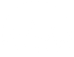 Illustration forêt