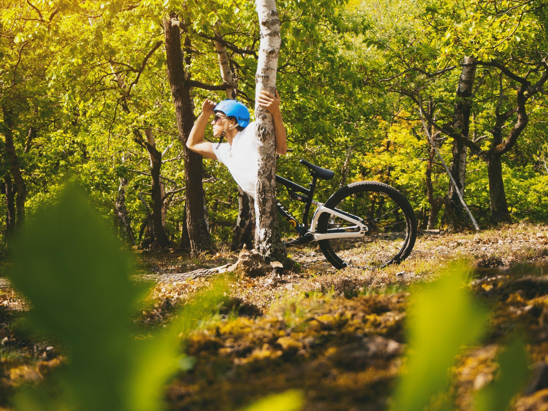Mountainbiken winterberg hoch sauerland rothaarsteig Radfahren