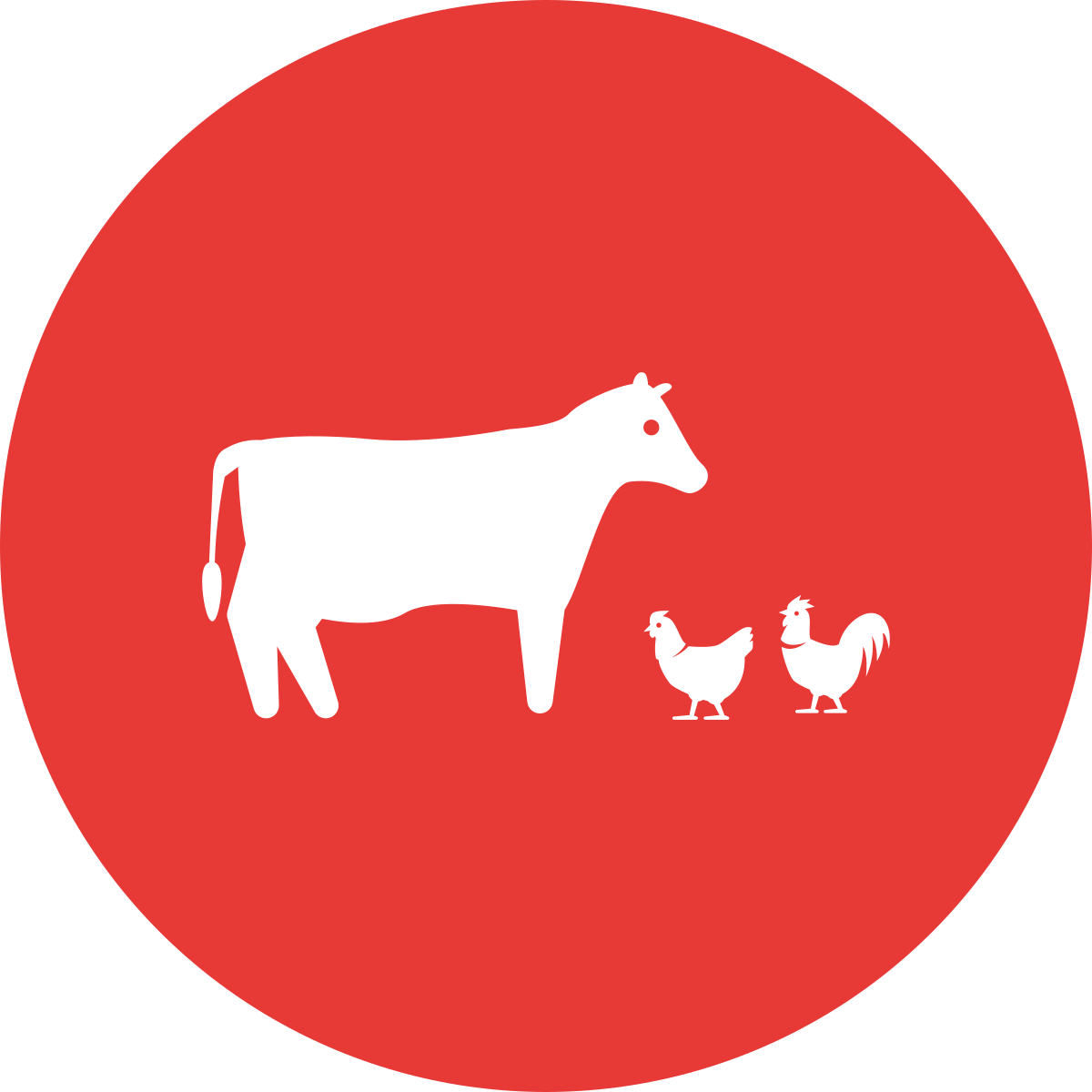 Livraison de céréales pour animaux, Landivisiau