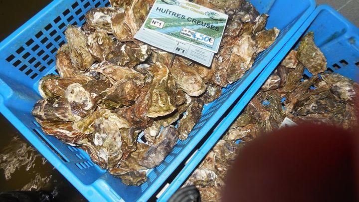 Pêche d'huîtres, ostréiculture près des Sables-d'Olonne