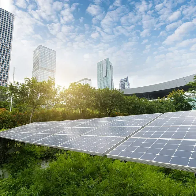Una fila de paneles solares están ubicados en el césped frente al horizonte de una ciudad.