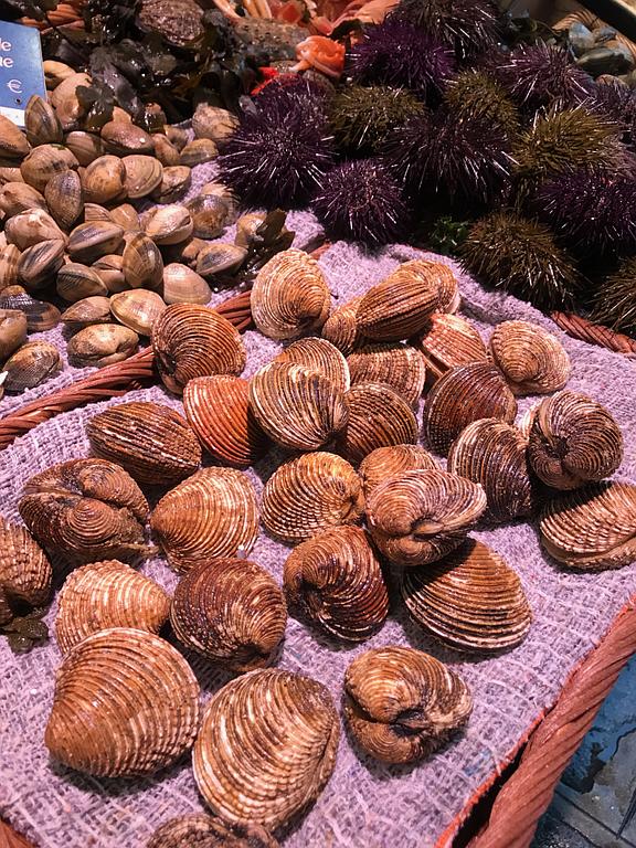 Des coquillages de toutes sortes