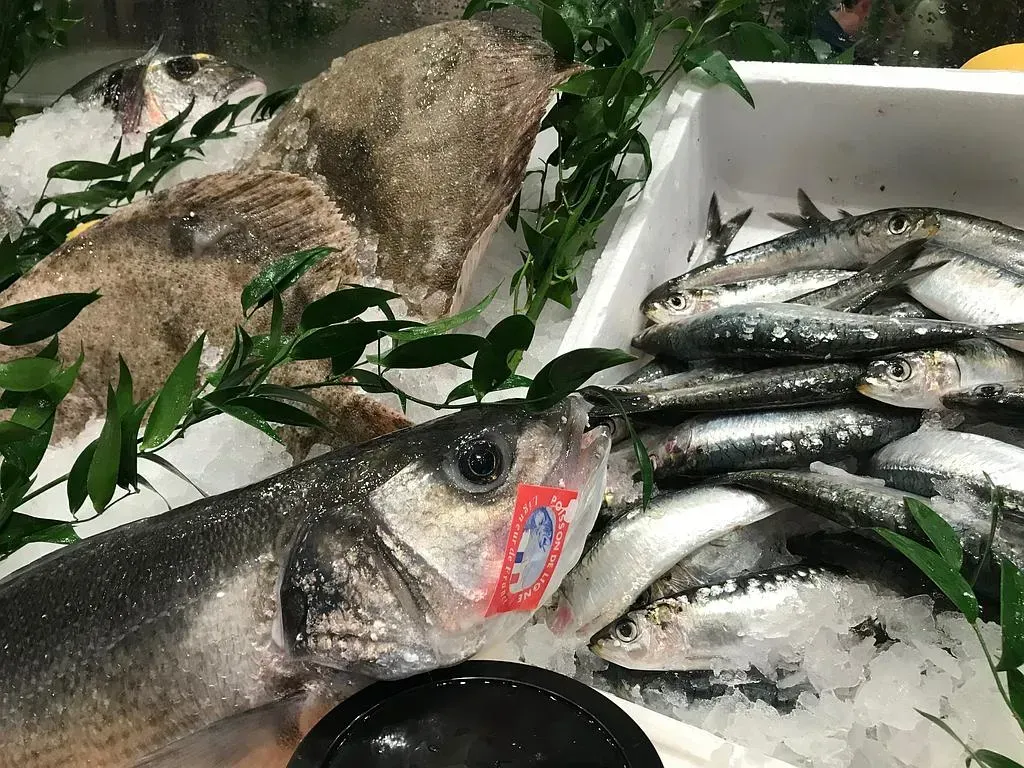 Des poissons frais issus de la pêche indépendante