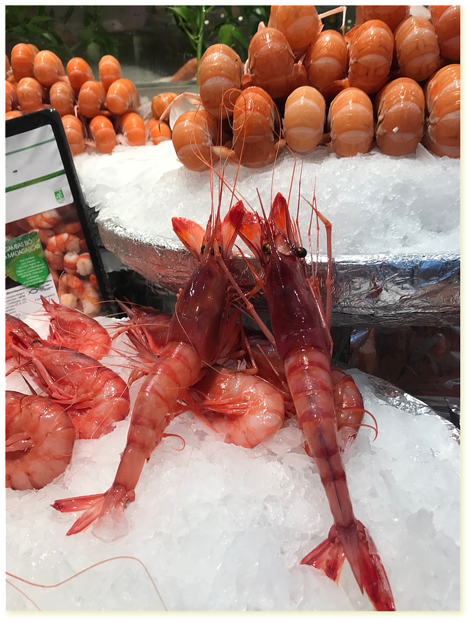 Ecrevisses fraîches