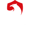 Logo d'Isère Drome Securité