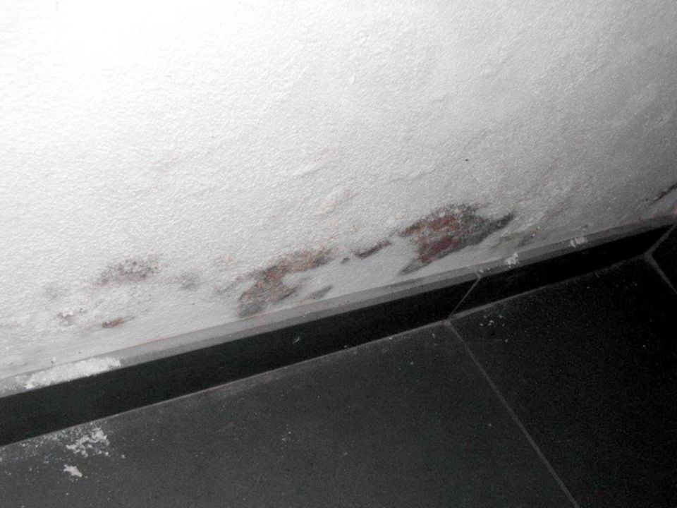 Aufsteigende Feuchtigkeit einer nicht unterkellerten Wohnung