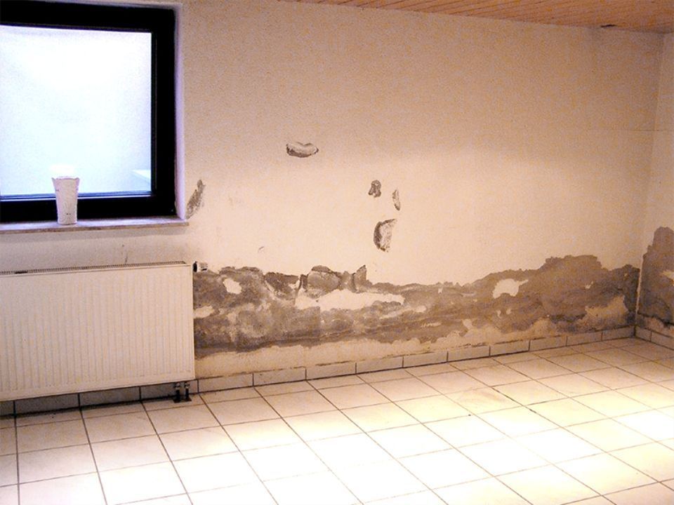Aufsteigende Feuchtigkeit in einer Souterrain-Wohnung