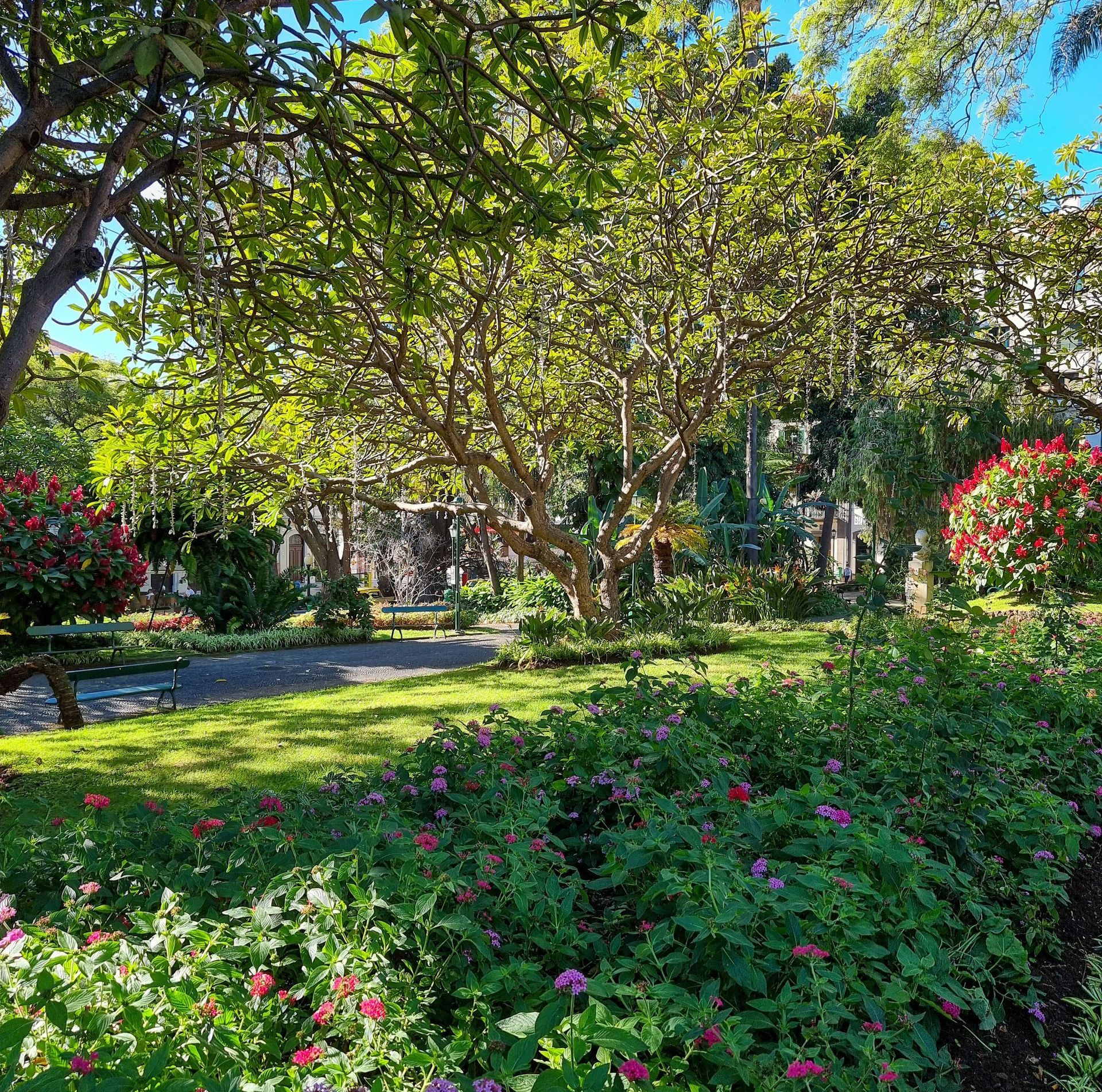 Espace vert en fleur