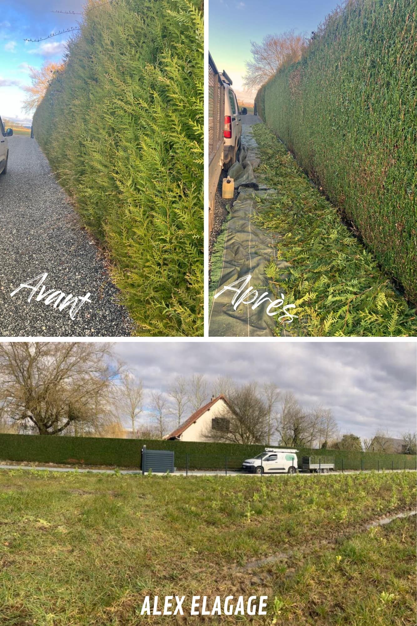 Taille de haie avant/après