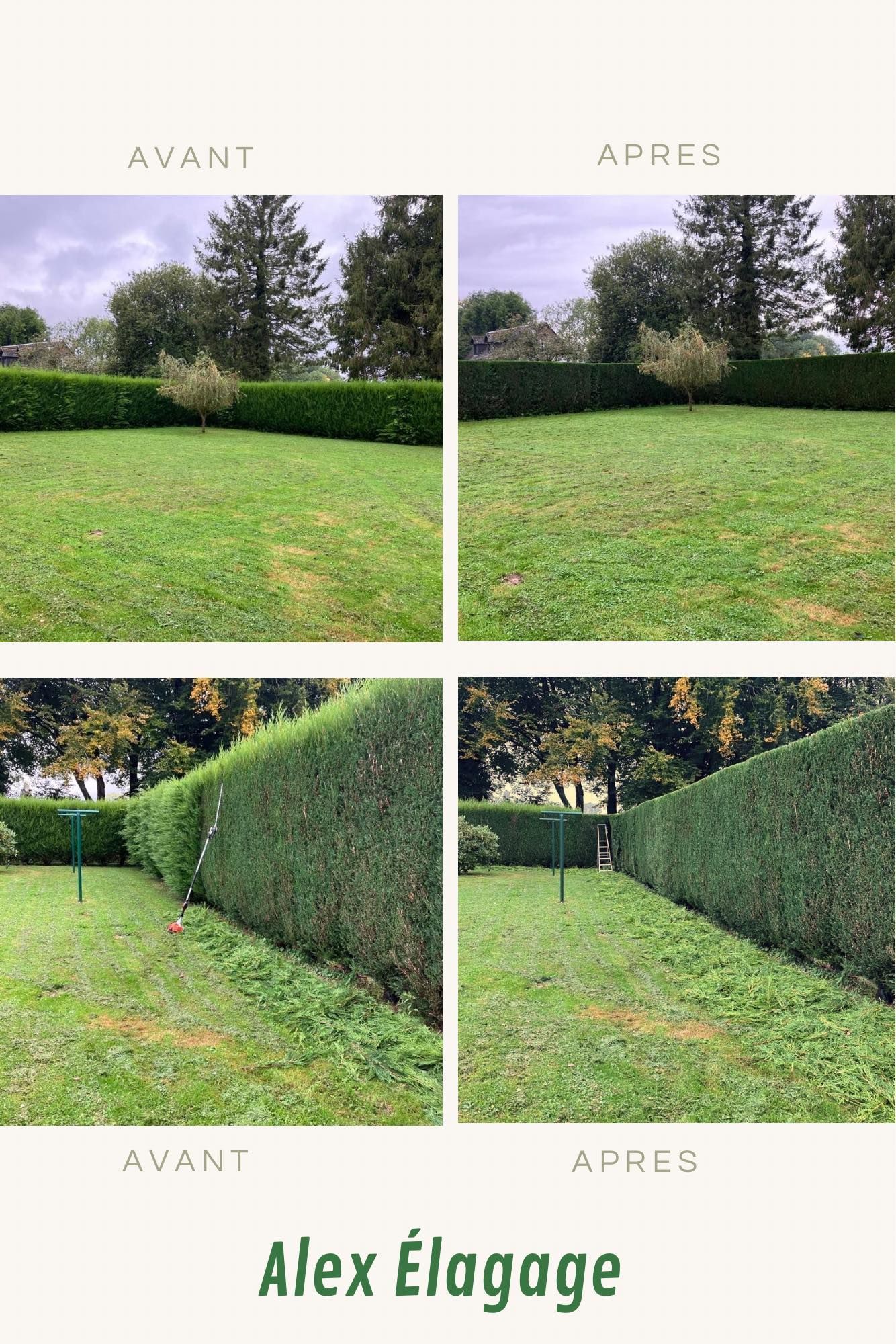 Tonte de la pelouse et taille d'une haie