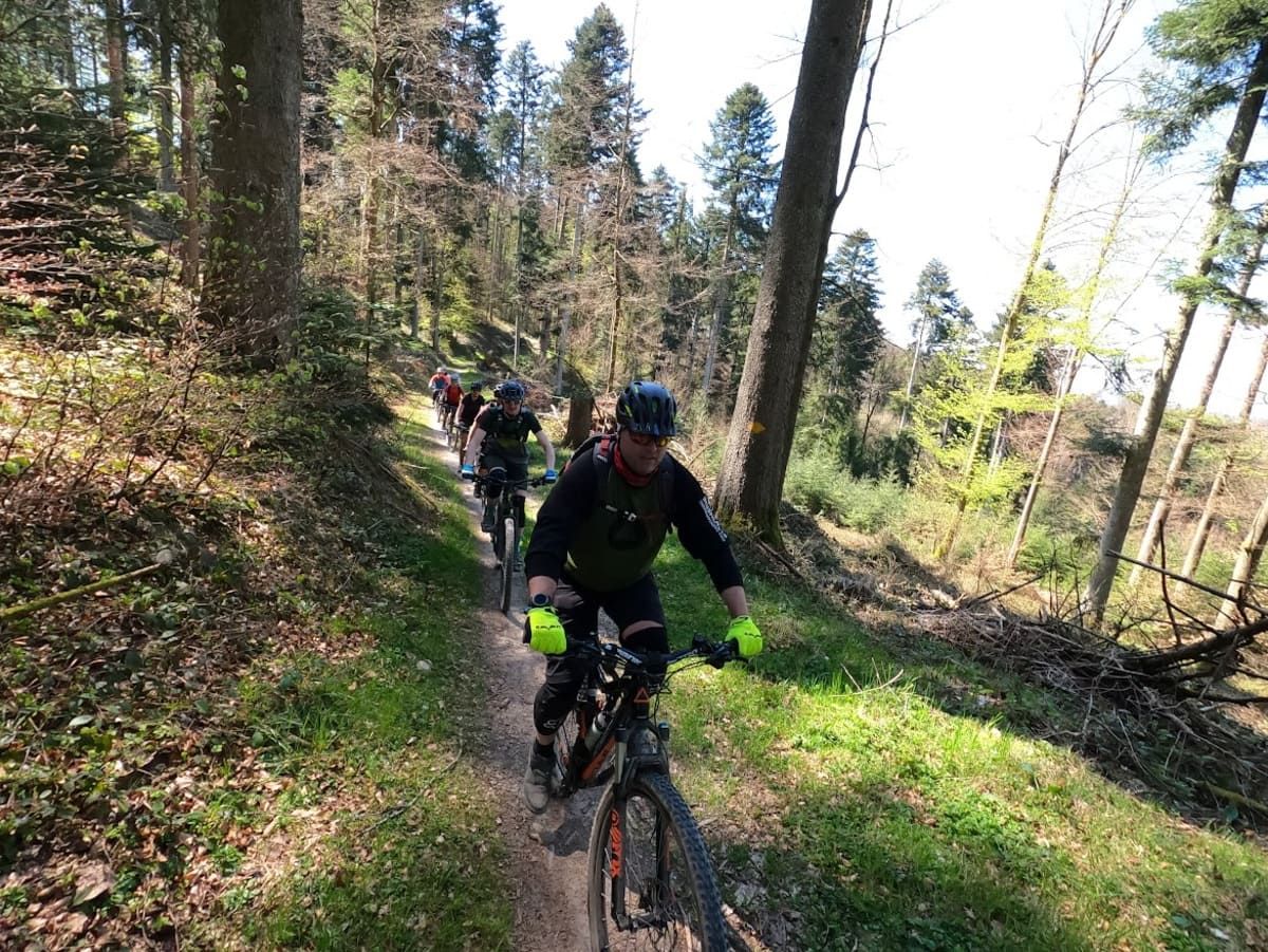 Eine Gruppe von Menschen fährt mit dem Fahrrad einen Pfad im Wald entlang. | PS Cycling AG