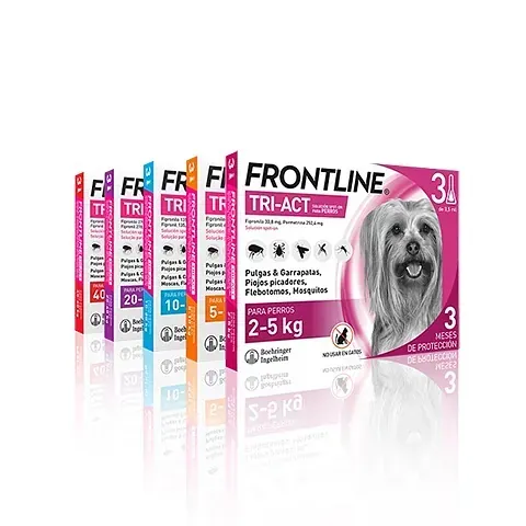 Frontline Tri-Act es un tratamiento contra pulgas y garrapatas para perros pequeños.