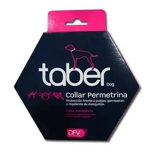 Un collar de perro Taber está en una caja rosa.