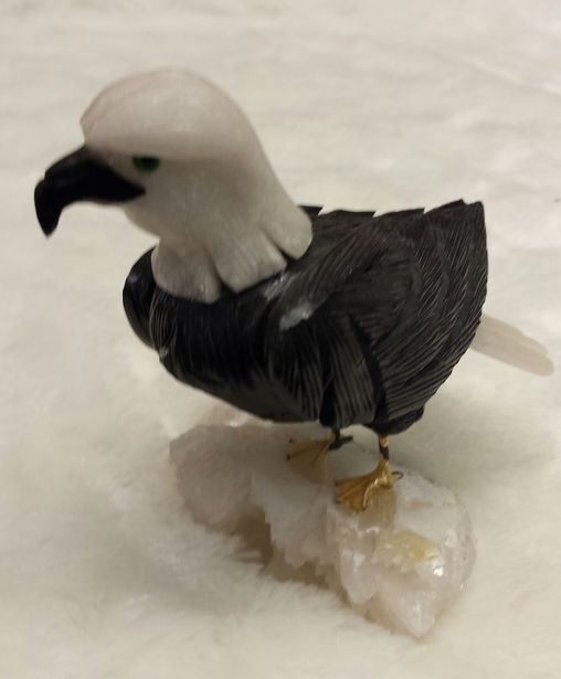 Seeadler auf Bergkristall