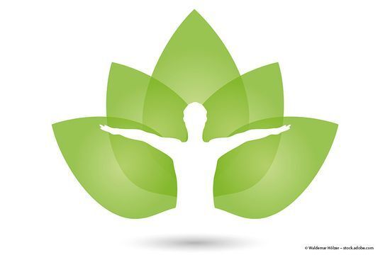 Naturfoto mit Blumenwiese der Naturheilpraxis Ostermann