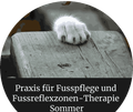 Praxis für Fusspflege und Fussreflexzonen-Therapie Sommer-logo