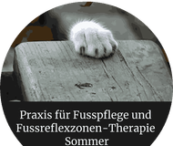 Praxis für Fusspflege und Fussreflexzonen-Therapie Sommer-logo