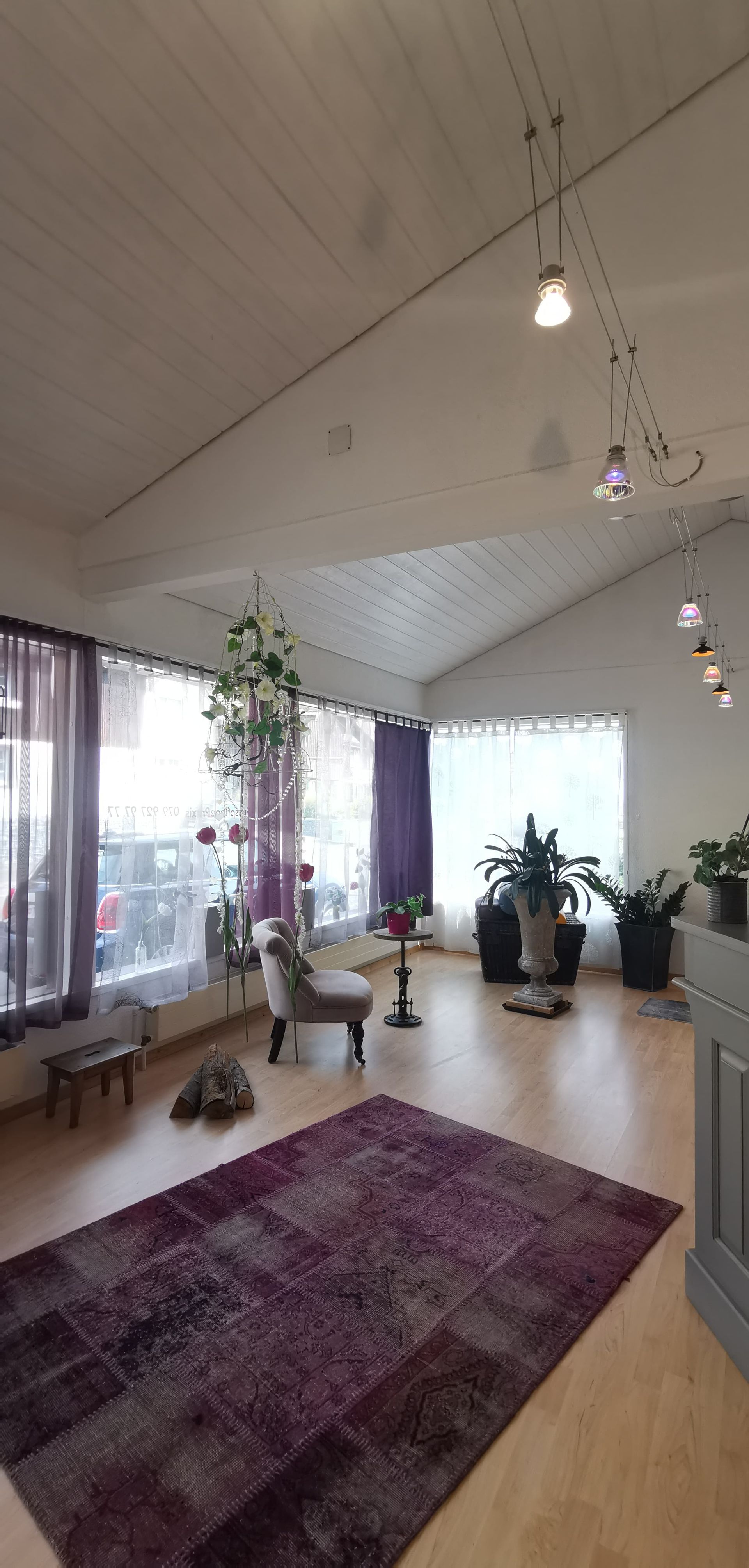 Innenraum eines Raumes mit violetten Akzenten: Teppich, Vorhänge und Zierpflanzen. Natürliches Licht durch die Fenster.