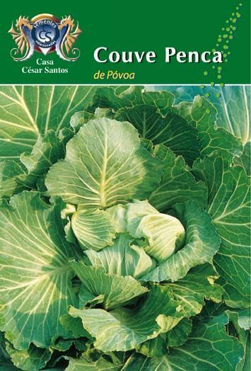 Green cabbage seed packet labeled “Couve Penca de Poios” with a large leafy cabbage photo