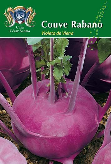 Purple kohlrabi with green stems, labeled “Couve Rábano” on a seed packet