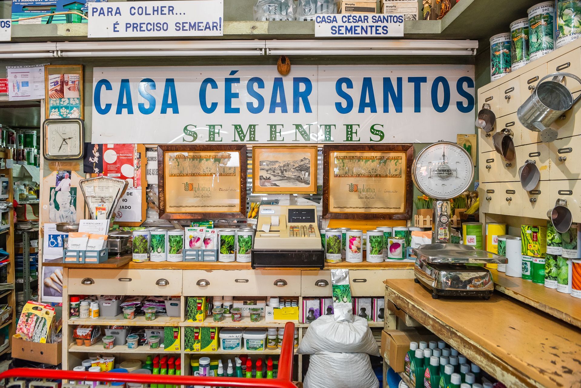 Casa César Santos - sementes para agricultura, horticultura e jardinagem.