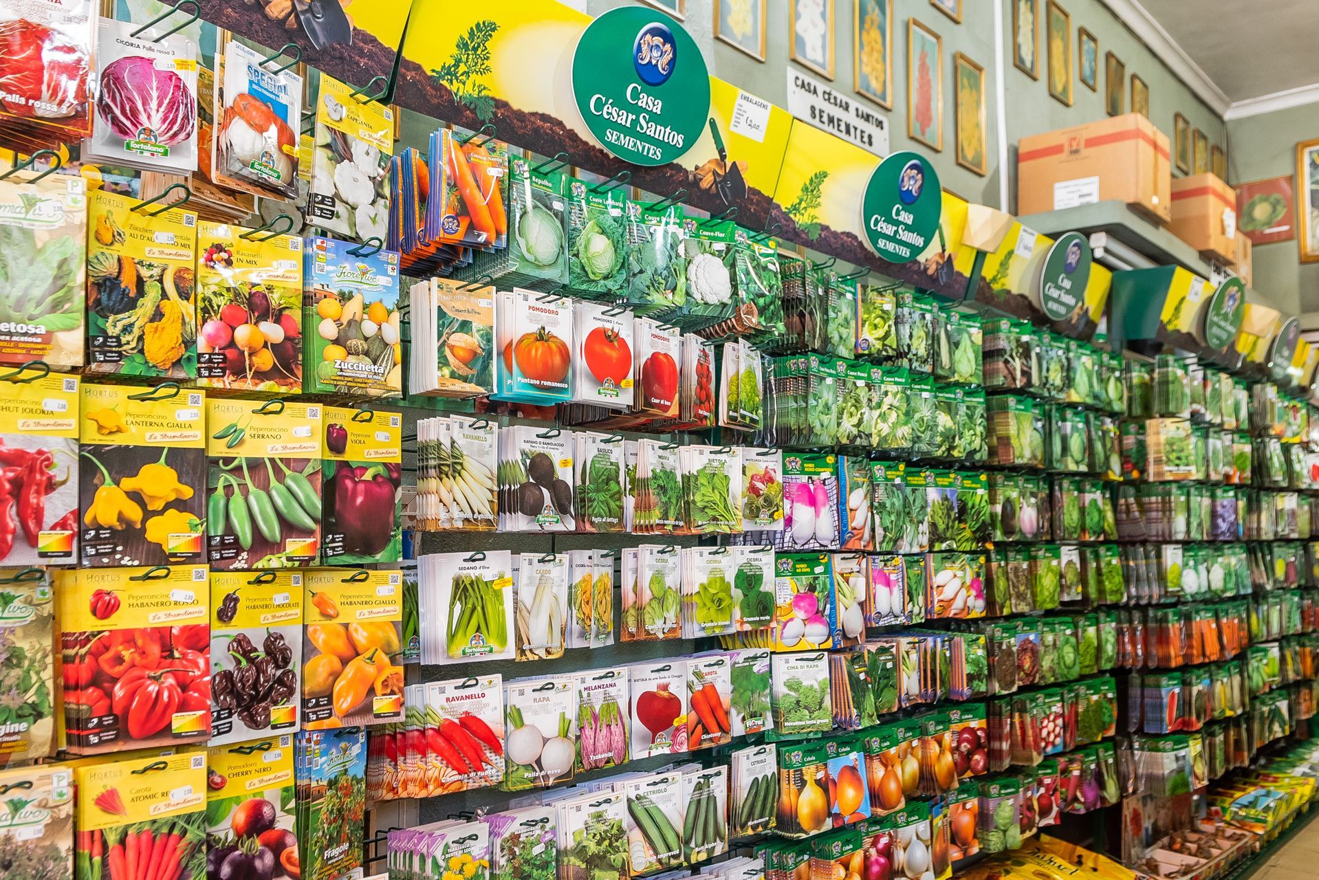 Casa César Santos - sementes para agricultura, horticultura e jardinagem.