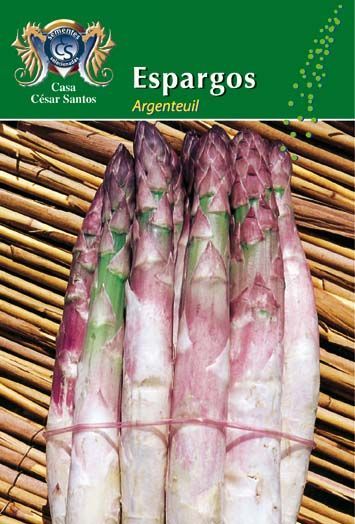 Fresh purple and white asparagus spears bundled on a green label, with “Espargos” text.