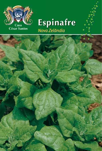 Seed packet labeled “Espinafre Nova Zelândia” with a close-up photo of green spinach leaves