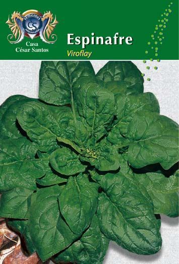 Espinafre seed packet with a photo of leafy green spinach leaves on a green background