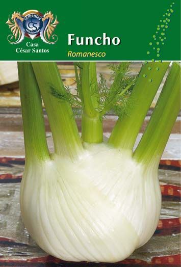 Fennel bulb with green stalks on seed packet labeled “Funcho Romesco”