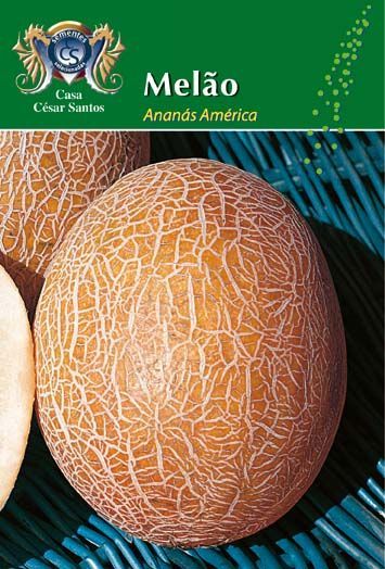 Package label for Melão (Ananás Americo) showing a netted cantaloupe on a blue surface