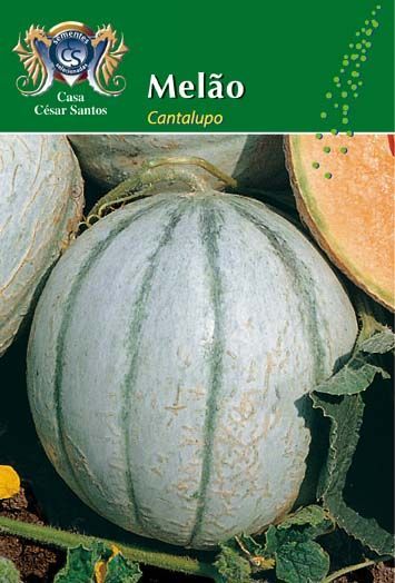 Green seed packet labeled “Melão Cantalupo” with a large cantaloupe melon photo