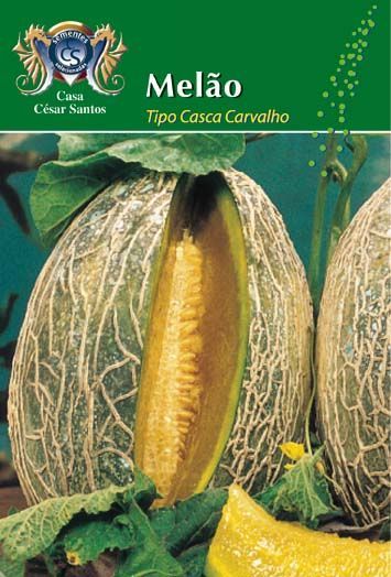 Pack of Melão Tipo Cassa Canovão with whole and sliced cantaloupes on a green background