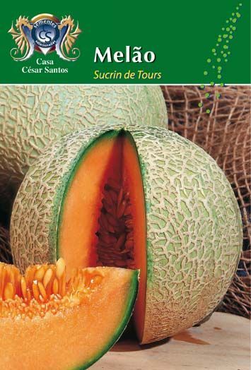 Cantaloupe melons on a Spanish produce label, with one sliced open showing orange flesh.